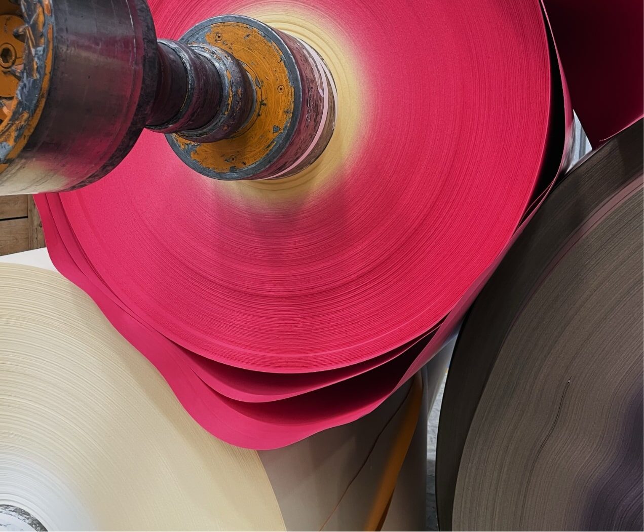 Bobines de papier coloré dans une usine Fedrigoni