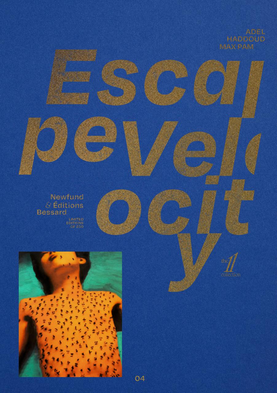 Couverture d'Escape Velocity